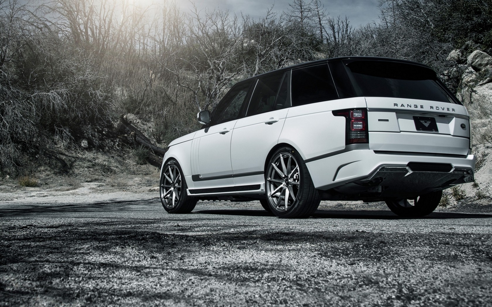 桌面背景 (19).jpg