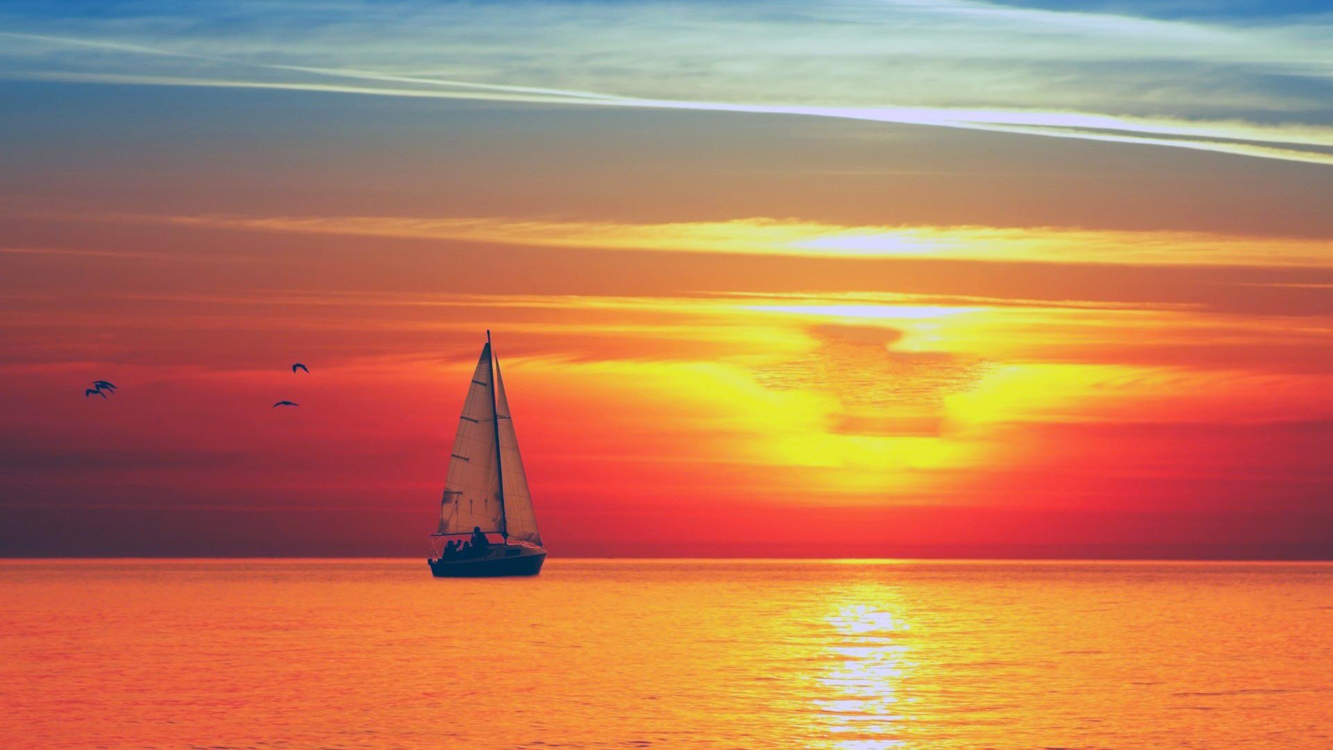 桌面背景 (46).jpg