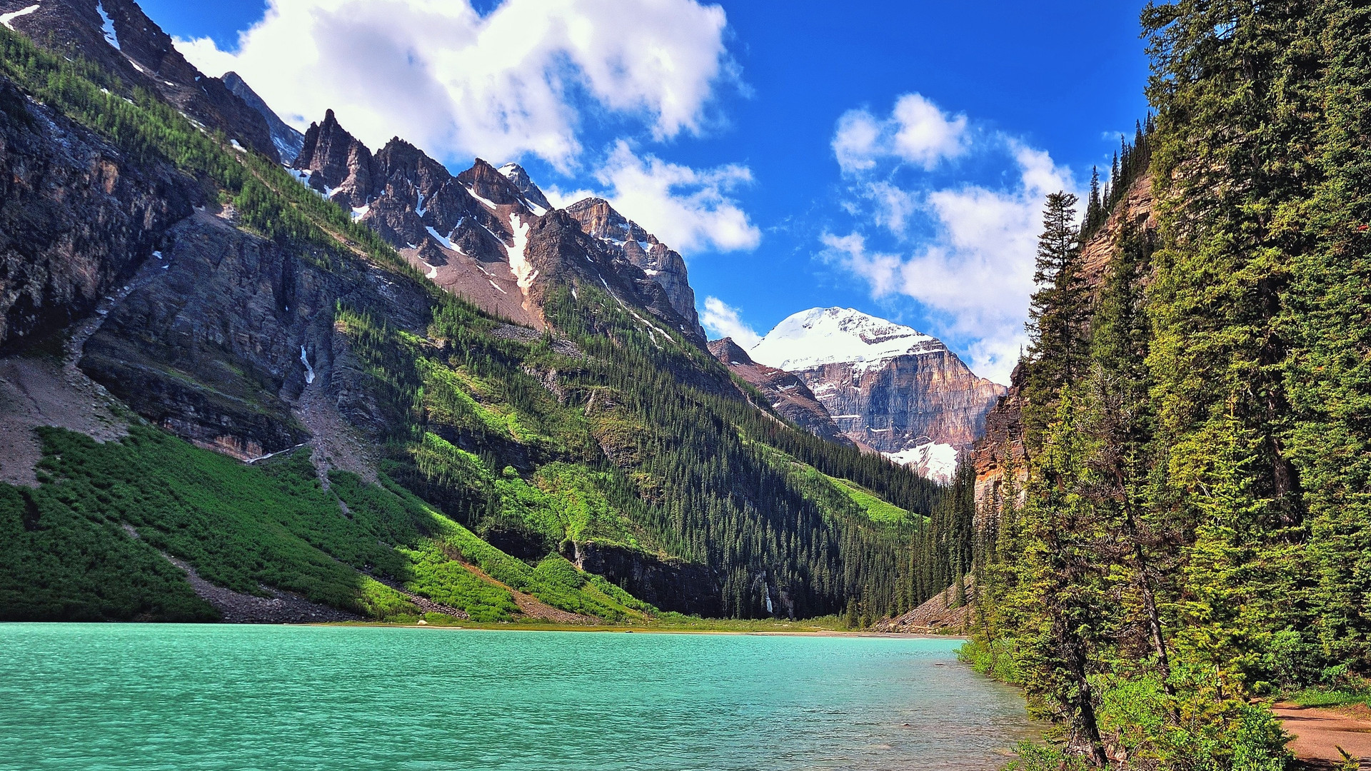 桌面背景11 (3).jpg