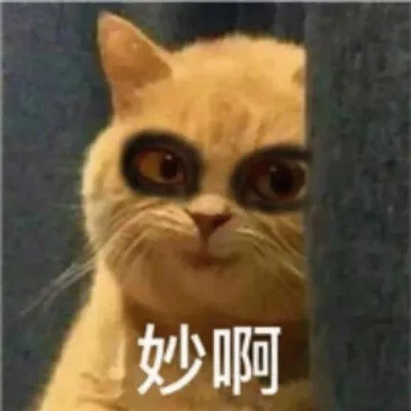 妙啊.jpg