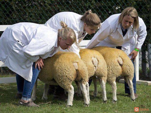 Daily_Funny_Collection_164  (1).jpg