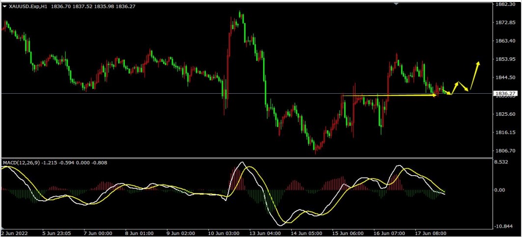 屏幕截图 2022-06-20 104730.jpg