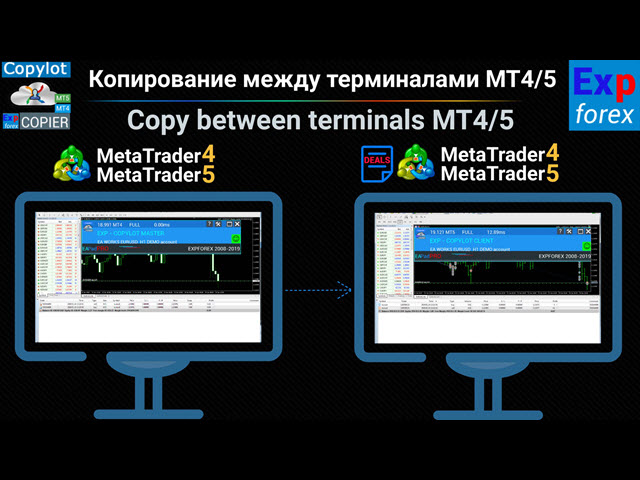 exp5-copylot-master-for-mt5-screen-5710.jpg