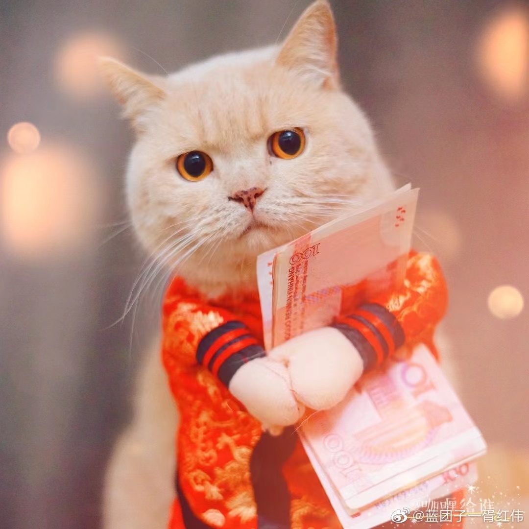 微信图片_20221011151314.jpg