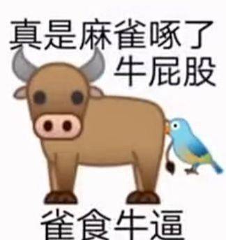 QQ图片20230804105030.jpg