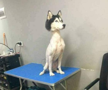 螢幕擷取畫面 2023-08-11 190752.png