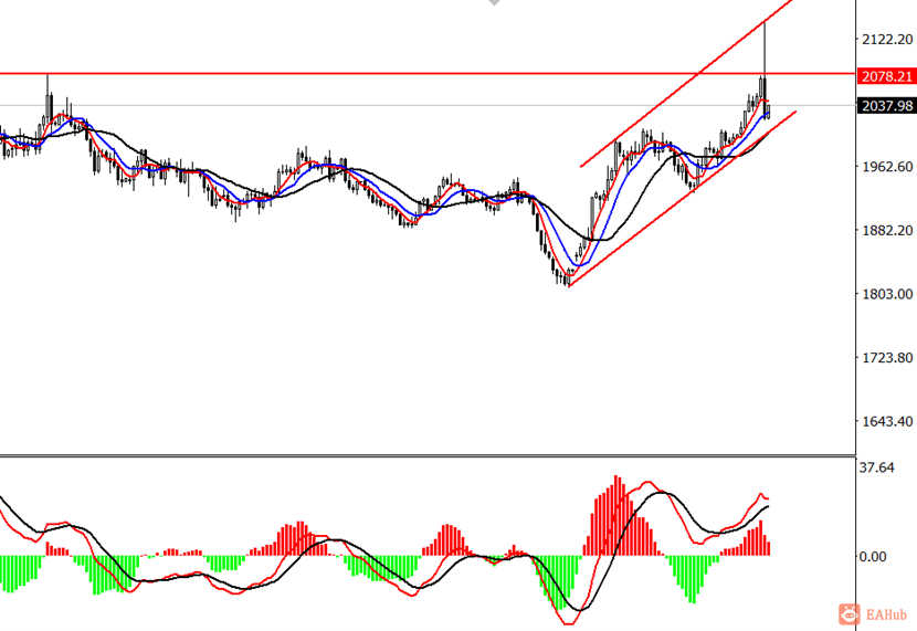 金田金业-现货黄金-日线图