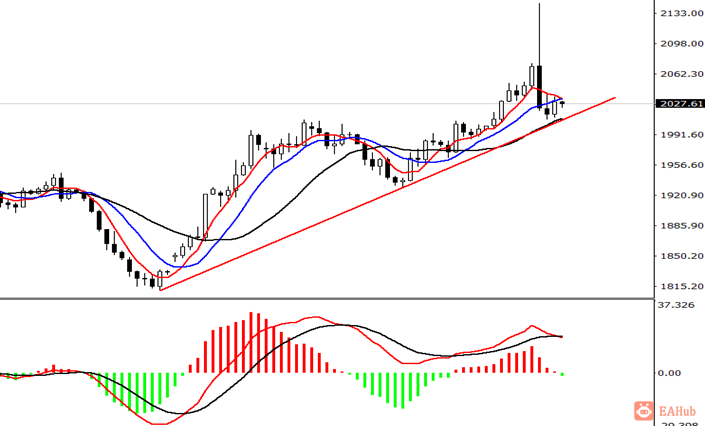金田金业-现货黄金-日线图