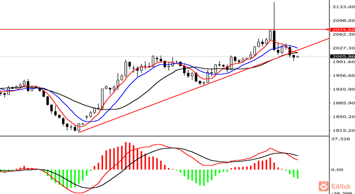 金田金业-现货黄金-日线图