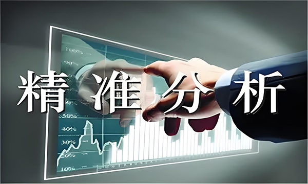 精准分析.jpg