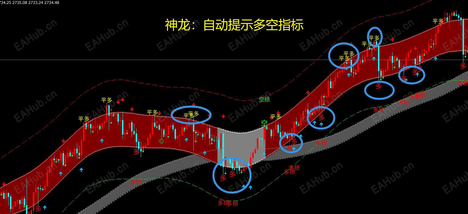 神龙指标.jpg