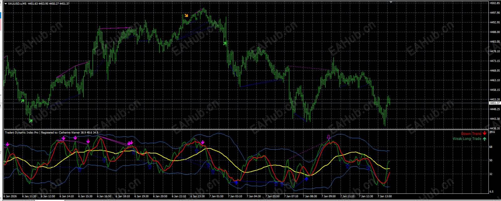 Sam Trend Blaster-TDI_Pro_sam.jpg