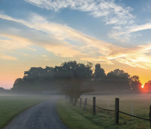 屏幕截图 2026-01-13 163509.png