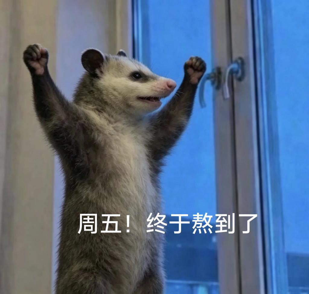 a3cc5892-026f-4529-9d4b-a838eab22699.gif