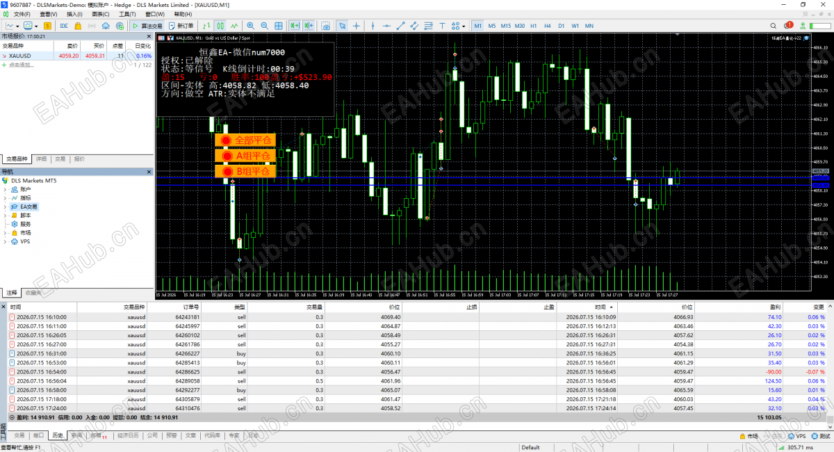 DLS Markets MetaTrader 5 Terminal.png