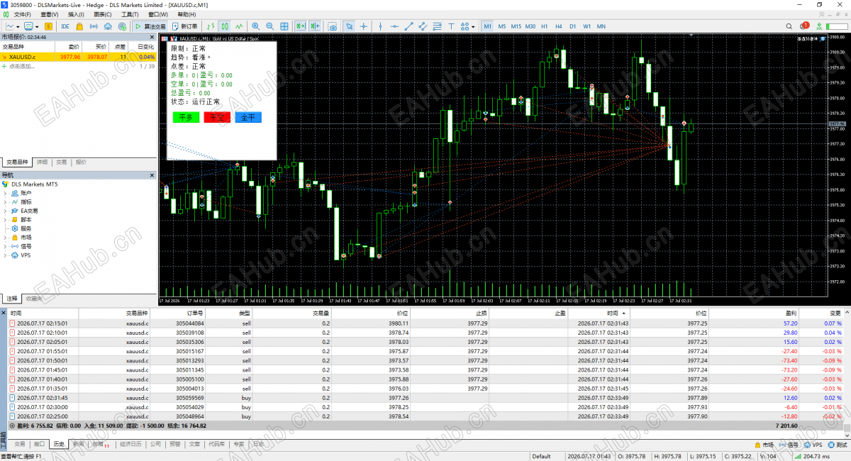 DLS Markets MetaTrader 5 Terminal.png