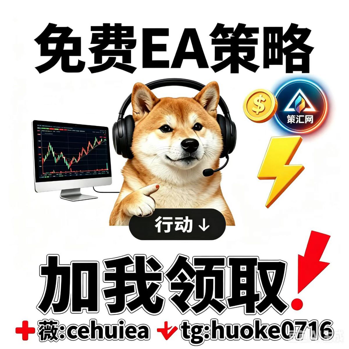 7784e1938a7b7dc1af39e02b685ffd68.jpg