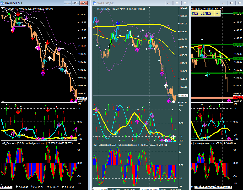 301c800205a360a9feb1ed8923ca5d6d.png