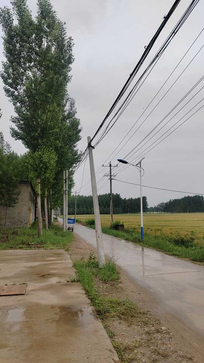 wx_camera_1779754052749.jpg
