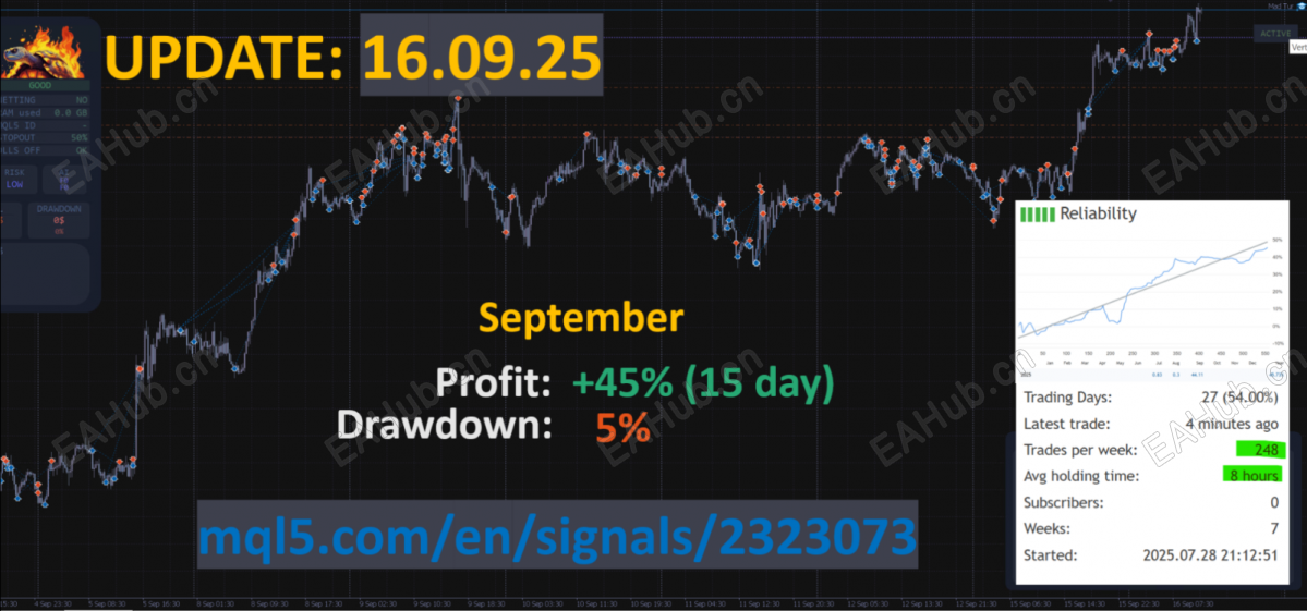 20260807162222829-mad-turtle-screen-7750.png