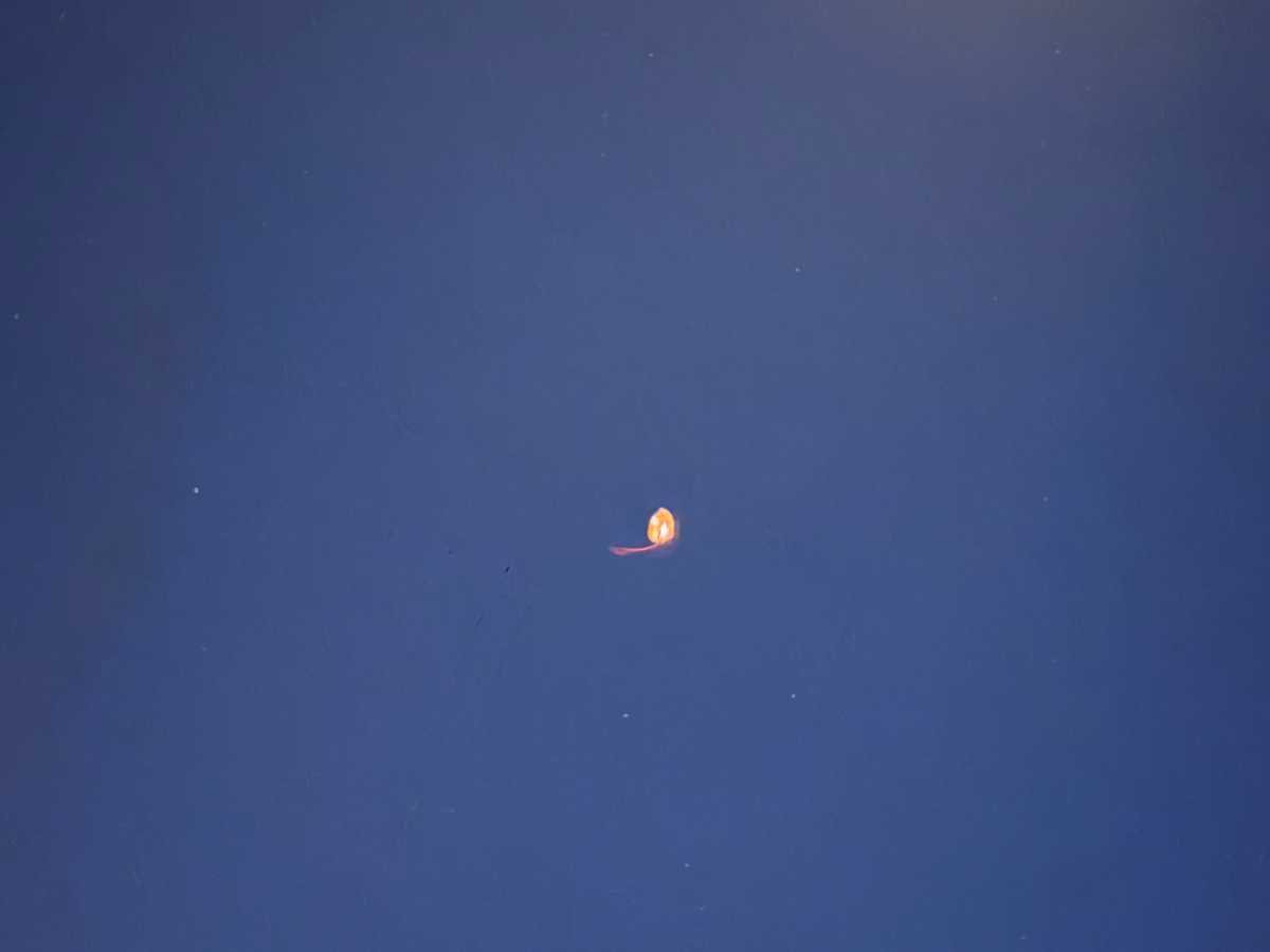 IMG_4818.jpeg