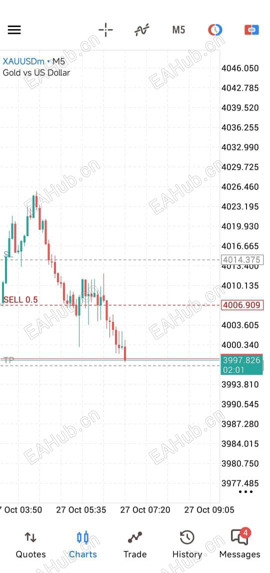 WhatsApp Image 2026-10-27 at 9.36.12 AM.jpeg