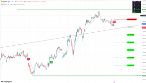 有没有用tradingview的，好像有挺多还不错的指标的-EAHub外汇论坛