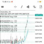 坚持一年看多黄金-EAHub外汇论坛