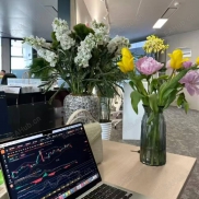 【铂金趋势反转-EA】专业理性版 适用于官网、专业论坛 捕捉趋势拐点，智取市场波动-EAHub外汇论坛