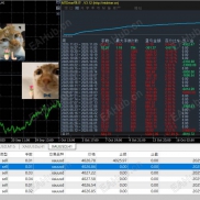 干就完了！-EAHub外汇论坛