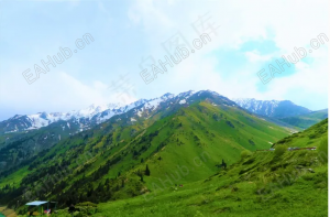 以平常心看待交易中的成功与爆仓-EAHub外汇论坛