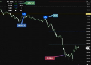 有没有这款指标的，求-EAHub外汇论坛