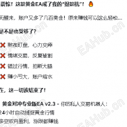 【黄金对冲机构版】网传1个月翻100倍的黄金策略，花了38000买的，现在限时免费分享10天-EAHub外汇论坛
