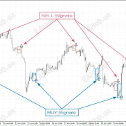 【星耀头皮】画面简介 易于使用-EAHub外汇论坛