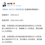 日内亚盘策略提示触及4562±2附近尝试多，最低回撤的触及4563止跌，反弹触及4599-EAHub外汇论坛