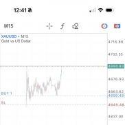 黄金真强啊-EAHub外汇论坛