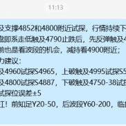 提前按建议4800试探，4846减持。临盘反弹触及4887没动，等待4900。哎，不期待了-EAHub外汇论坛
