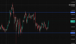 可小试多单-EAHub外汇论坛