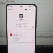 纯手工交易，实盘可观摩；技术指导，合作等等，欢迎了解。-EAHub外汇论坛