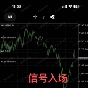 人工信号，一次一单，止盈止损。利润600%+-EAHub外汇论坛