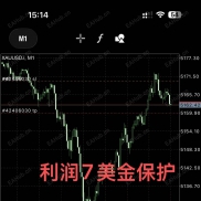 人工信号，一次一单，止盈止损。利润600%+-EAHub外汇论坛