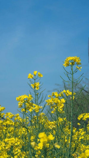 周末好天气 适合走走-EAHub外汇论坛