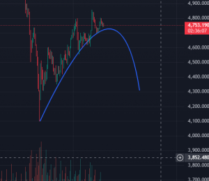 整理的时间够久了-EAHub外汇论坛