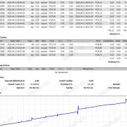 金麒麟（最优版）表现非常优秀!!!带马丁的ea到底要怎么风控？-EAHub外汇论坛