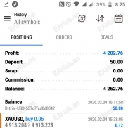 MT5  100倍-EAHub外汇论坛