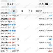 【黄金网格对冲 】非常暴力 收益不错 能抗单边拉升的网格对冲EA-EAHub外汇论坛
