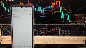 放下主观预判 遵从交易体系 收获也变得顺其自然----金盈花交易系统-EAHub外汇论坛
