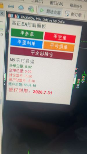 有没有大佬见过或者有这个ea，可能名字不一样，面板一样就行，跪求！-EAHub外汇论坛