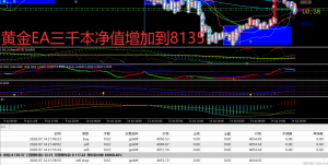 更新了黄金EA三千本测试结果净值达到8135-EAHub外汇论坛