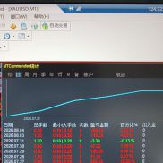 趋势一次一单，无马丁，单单止盈止损
0.1起手，最大0.2手
追随5分钟趋势做单
单-EAHub外汇论坛